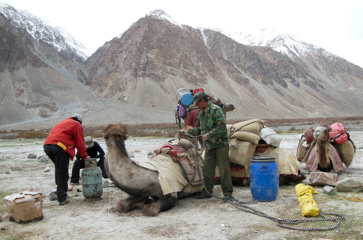 35 Unloading The Camels In The Sarpo Laggo Valley At Sughet Jangal 3900m K2 North Face China Base Camp